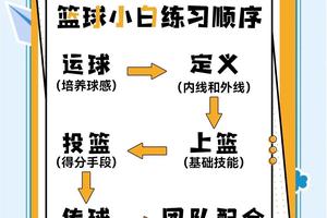 哪里可以找到数字化的篮球训练课程:全面指南与实用建议